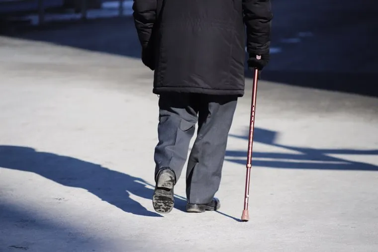 Город. Курган