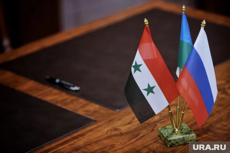 Военные делегации обсудили направления сотрудничества между Сирией и РФ