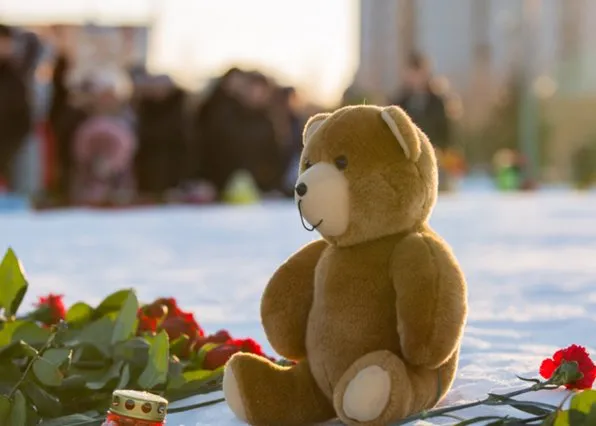 Фотография из галереи