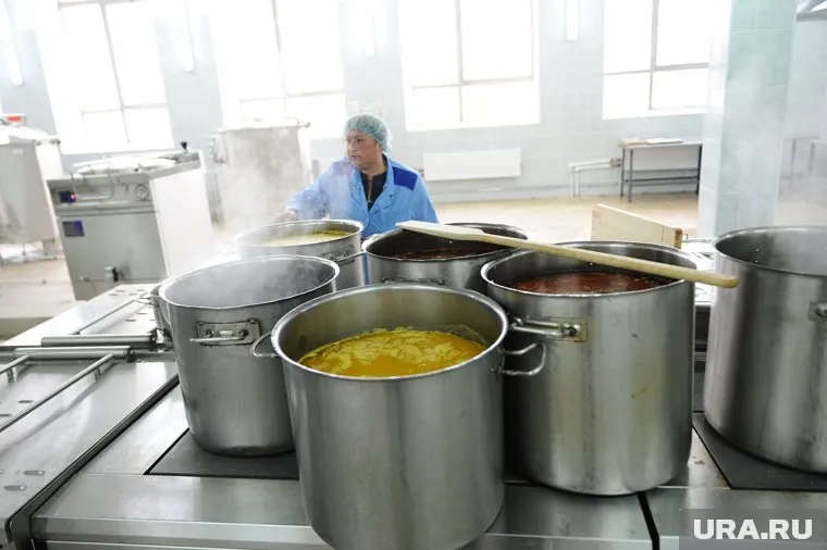 Прокуратура выясняет, из чего варят суп для челябинских детей