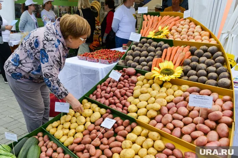 Россия экспортирует картофель в страны постсоветского пространства