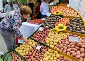 Почему Россия продает картофель в другие страны