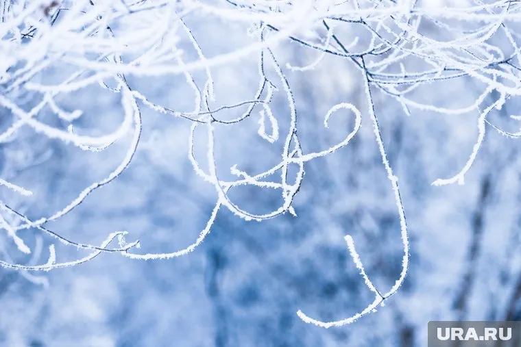 В регионе похолодает до -2 градусов