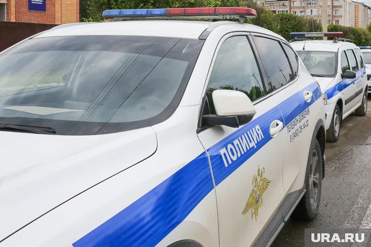 10 ноября в России отмечают День сотрудника органов внутренних дел или День полиции