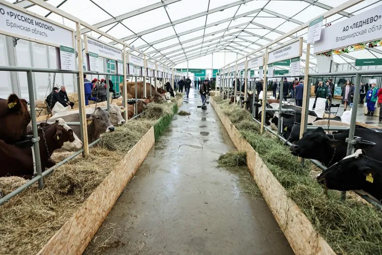 Михаил Мишустин во время посещения выставки " Золотая осень 2022". Москва