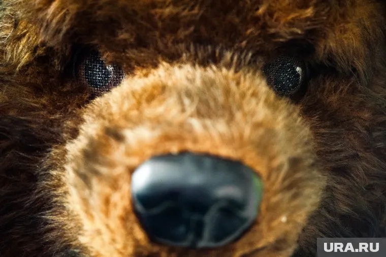 Медвежат будет всего 300