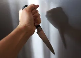 Подросток с ножом ранил четверых человек в ростовской школе