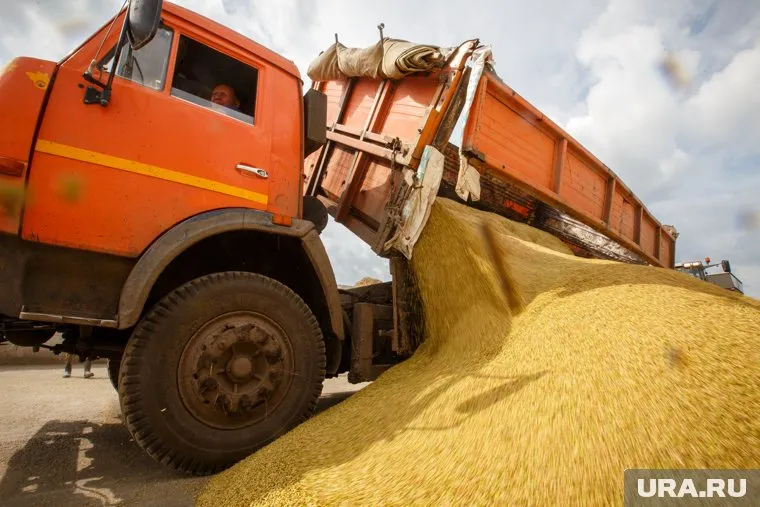 Россия готова экспортировать зерно и удобрения