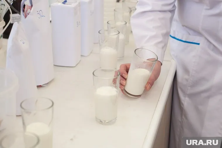 Молоко, из которого сделали продукты, оказалось непонятного происхождения (архивное фото)