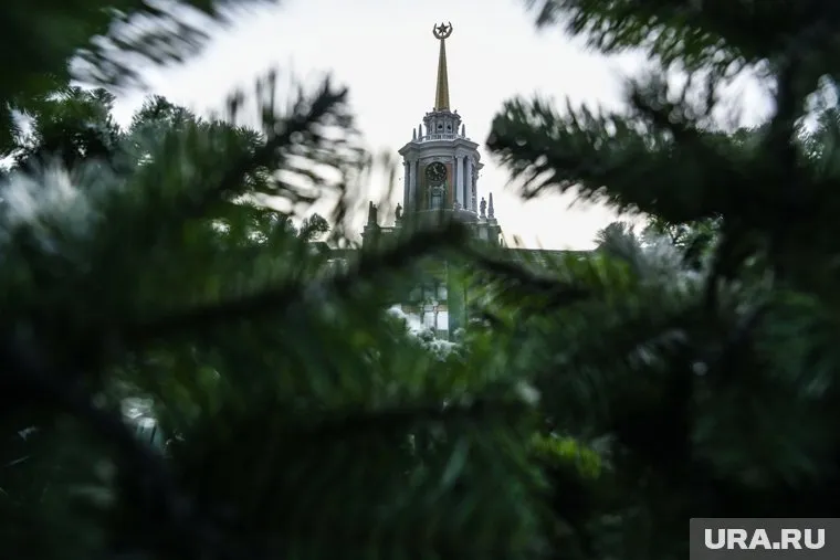 В этом году установили новую елку, но и по поводу нее нашлись претензии