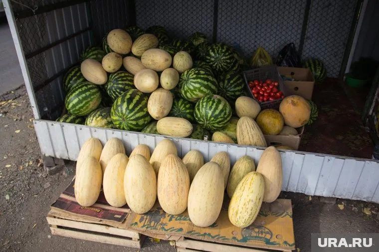 Арбузы и дыни можно продавать на улице, но только при наличии всех документов