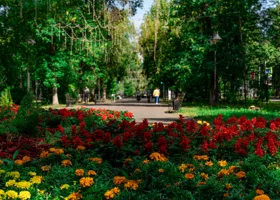 Губернатор заслушал итоги кампании по благоустройству Пермского края в 2025 году