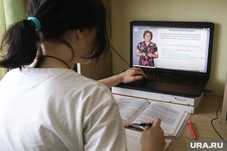 С помощью дистанционного обучения школьники во время болезни смогут попасть на урок
