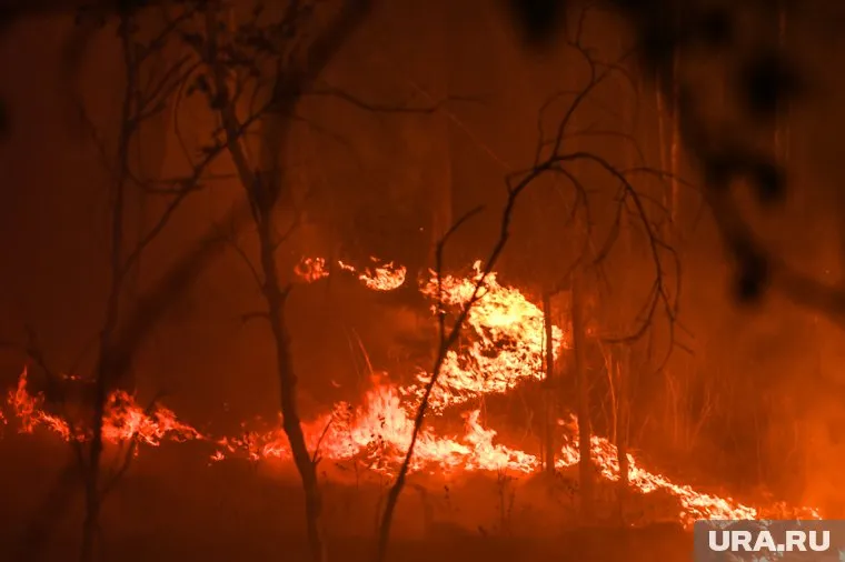 По сообщению террористической организации, они хотели поставить Турцию на колени огнем