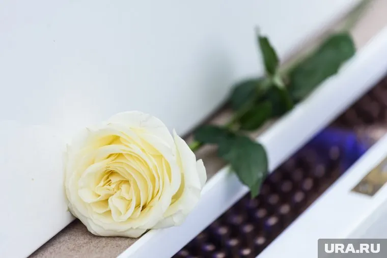 На сайтах знакомств может появиться возможность узнать о судимости человека