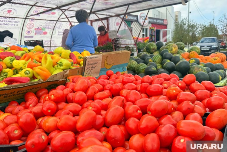 С Шершневского кольца в Челябинске перенесут ярмарку садоводов