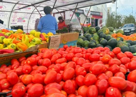 С Шершневского кольца в Челябинске перенесут ярмарку садоводов