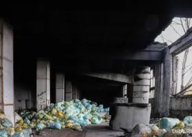 В нелегальный крематорий в Кургане могли привозить отходы из соседнего региона