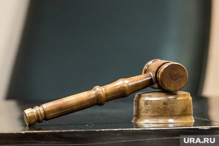 Суд приговорил Анну Ефимову к одному году ограничения свободы