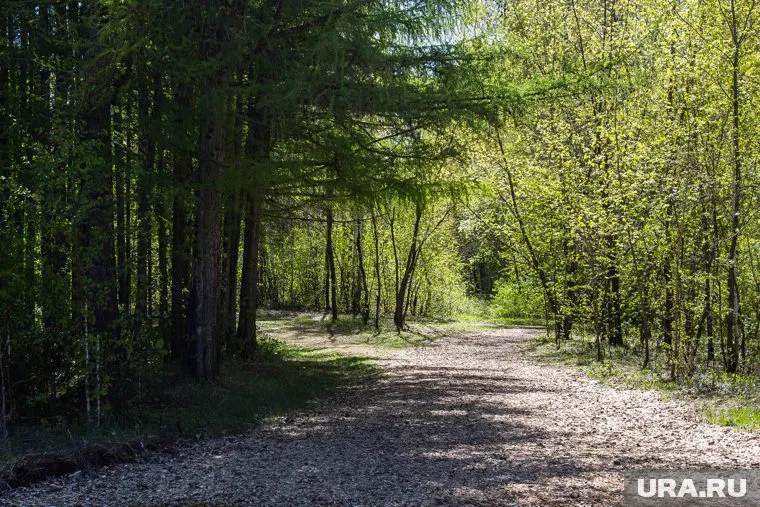 Эксгибициониста приметили на одной из дорожек парка