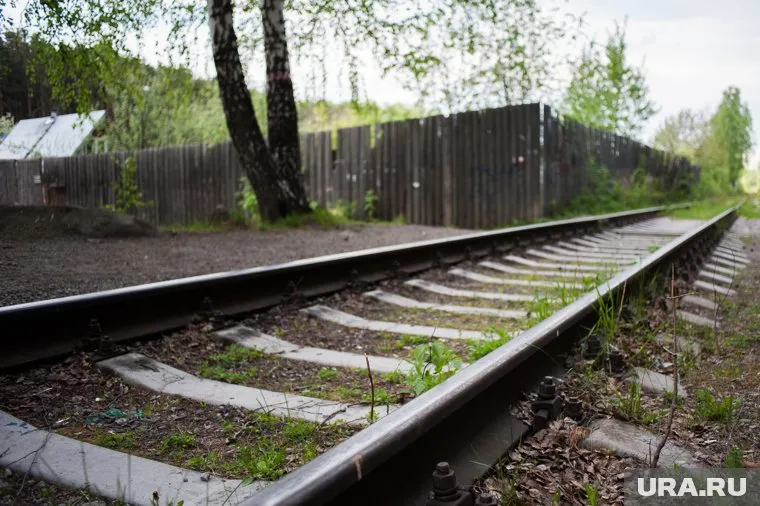 Дети нашли голову возле железной дороги