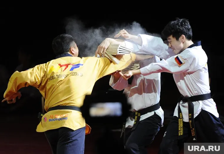 На своем гектаре актер хочет построить многофункциональный спортивный комплекс