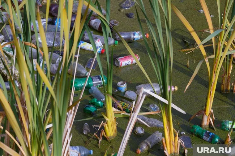 Вода в речке покрылась цветными пятнами (фото из архива)