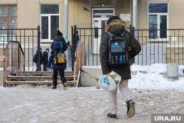 В школах Петуховского округа вернули очное обучение после ЧП с волком