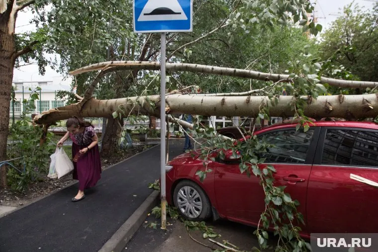 Природные бедствия будут происходить в Сибири и в средней полосе России