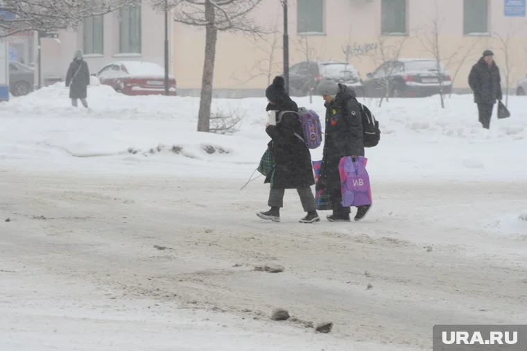 Курганским школьникам могут отменить занятия