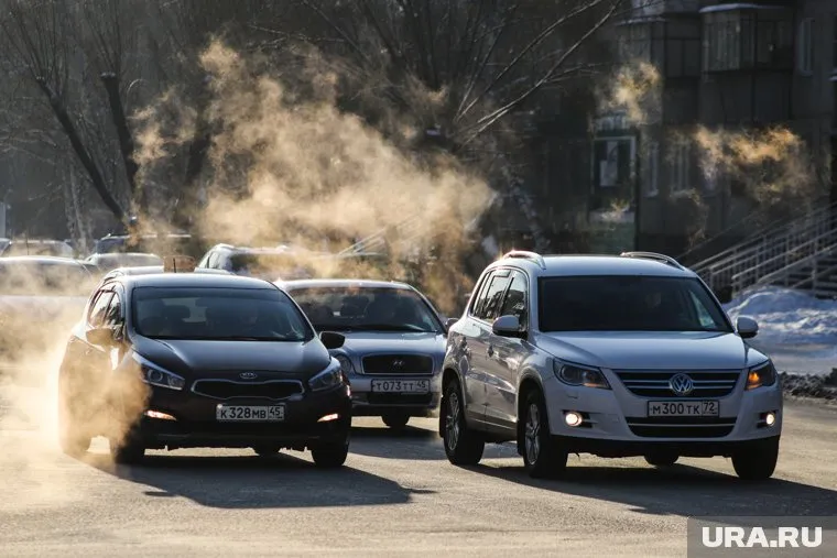 В Курганской области цены на автомобили и шины замедлили рост по итогам августам