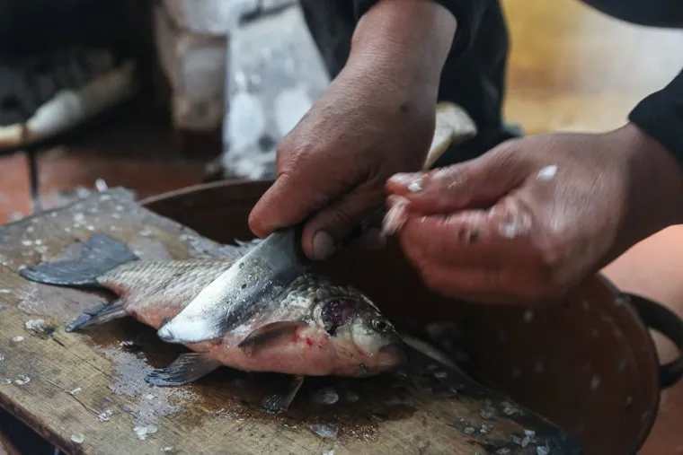 Рыба. Заболотье. Тюменская область