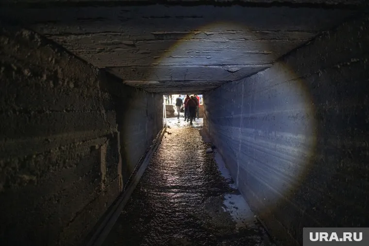 В РФ хотят установить штрафы за незаконные экскурсии