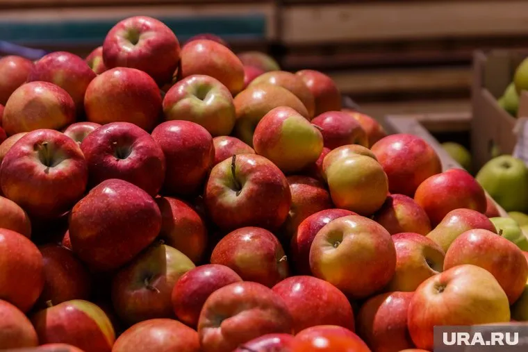 В Челябинскую область запретили ввозить три партии фруктов