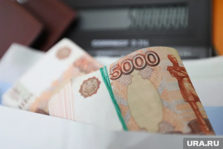 Директор завода не платил зарплату 26 сотрудникам в Шадринске