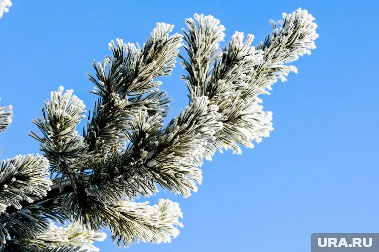 В Челябинске ожидается теплая погода