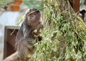 Фотография из галереи