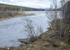 Фотография из галереи