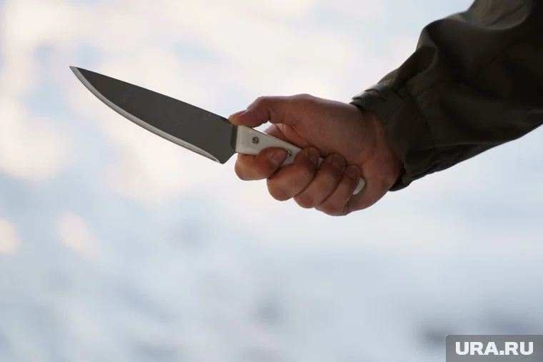 Суд назначил 6 лет колонии строгого режима за покушение на убийство в Надыме