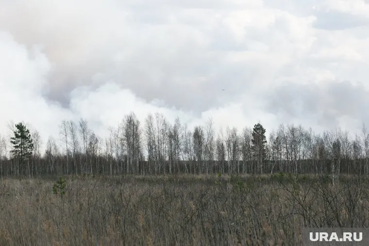 В Курганской области вертолеты МЧС тушат лесной пожар