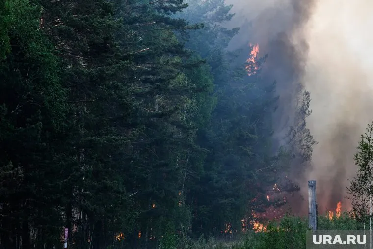В Камышлове огонь повредил лес на площади 680 гектаров