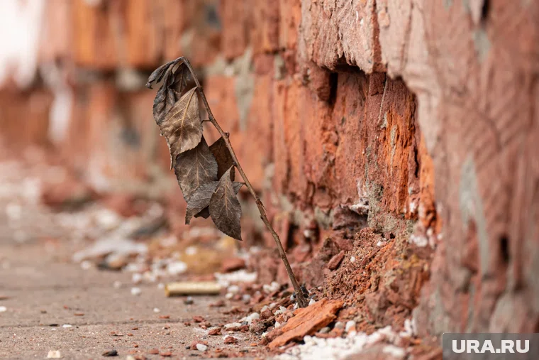 Семью из Ямала не переселяют из дома, который признали аварийным шесть лет назад