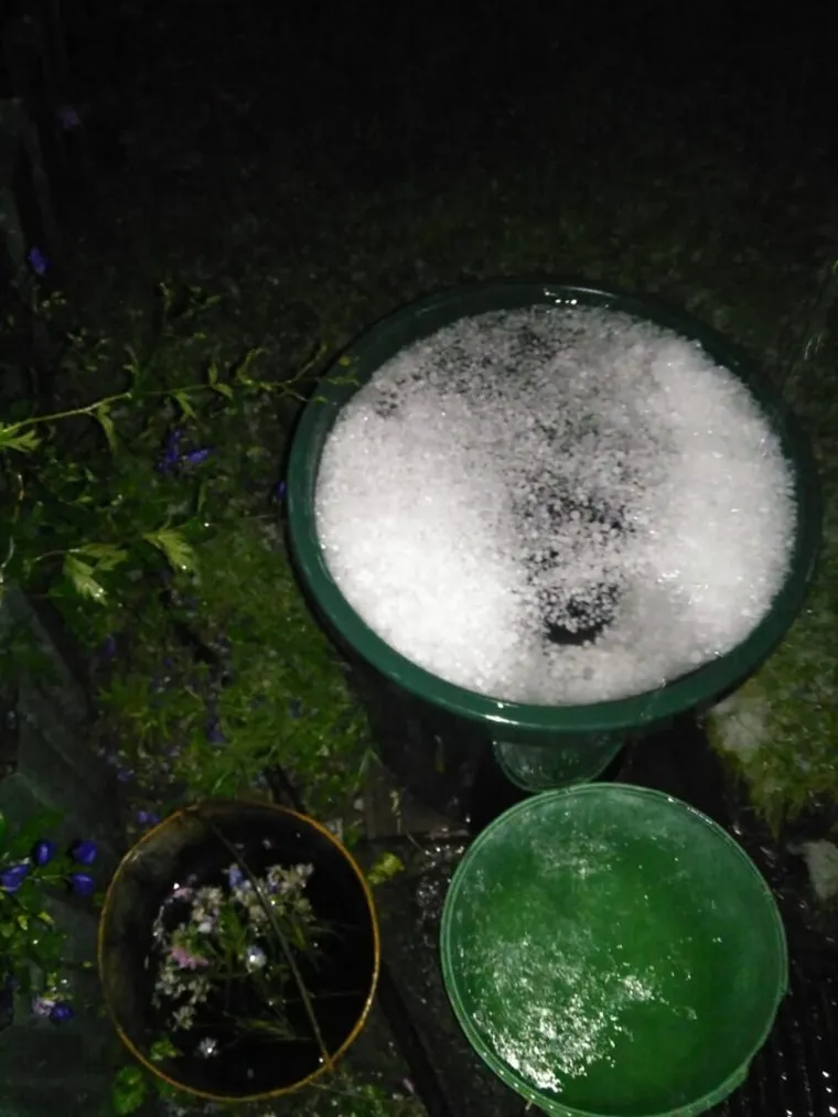 Невьянск поселок Октябрьский град размером с вишню