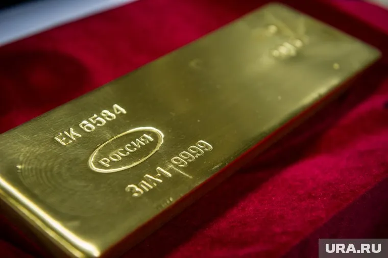 Экс-министр владеет 12 килограммами золотых слитков