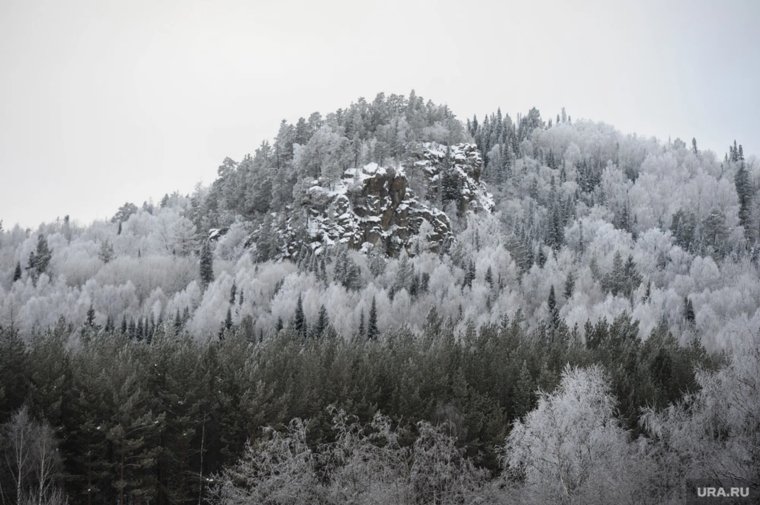 Два телефона и находки в тайге: СК раскрыл новые детали загадочного исчезновения Усольцевых