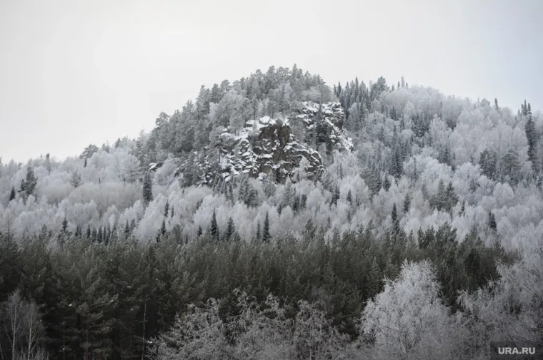 Красноярская тайга продолжает хранить тайну исчезновения Усольцевых
