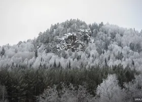 Два телефона и находки в тайге: СК раскрыл новые детали загадочного исчезновения Усольцевых