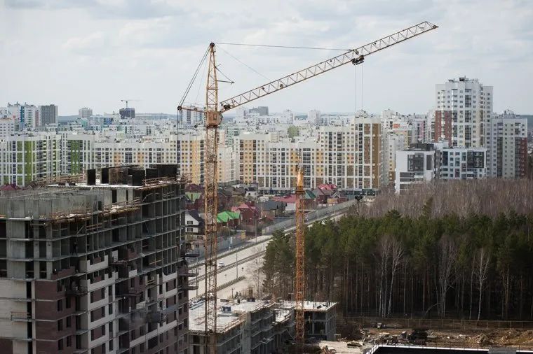 Березовая роща в микрорайоне Академический. Екатеринбург