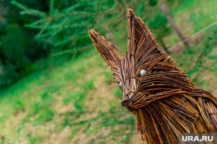 Лис встретит вас на опушке леса