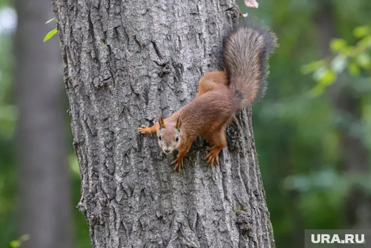 Не бойтесь слухов — правда часто оказывается страшнее
